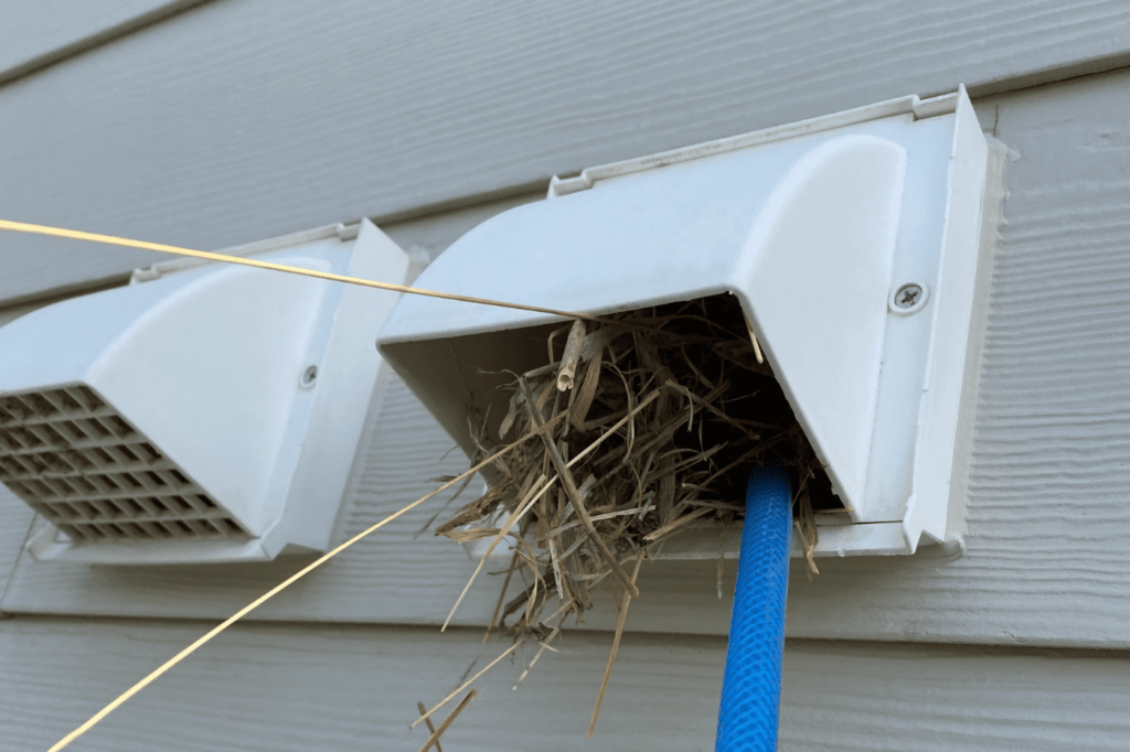 Dryer Vent Cleaning
